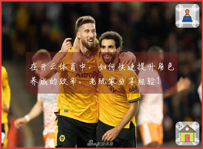 在开云体育中，如何快速提升角色养成的效率，老玩家分享经验！